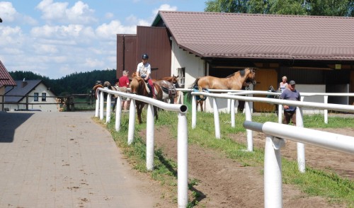 kaszubski bor stadnina4